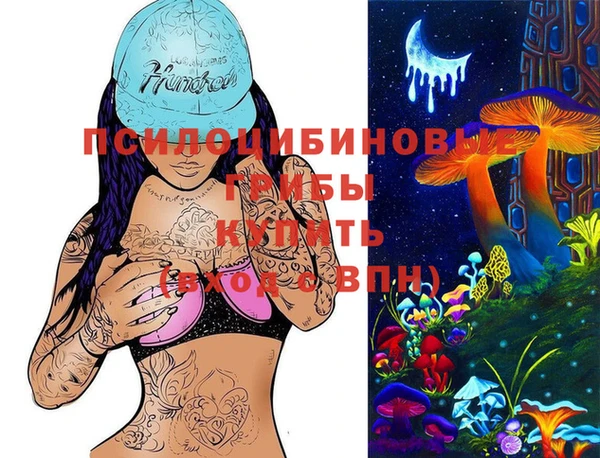 винт Арсеньев
