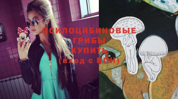 винт Арсеньев