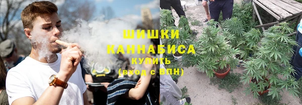 винт Арсеньев
