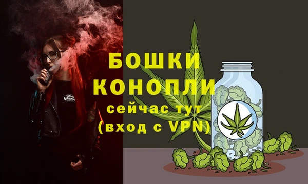 винт Арсеньев